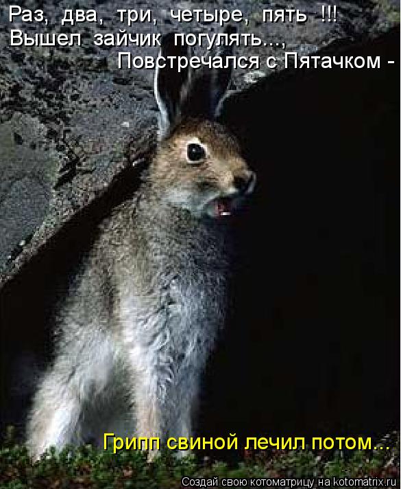 Раз, два, три, четыре, пять !!! Вышел зайчик погулять..., Повстречался с Пятачком - Грипп свин... Котоматрица: Раз, два, три, четыре, пять !!! Вышел зайчик погулять..., Повстречался с Пятачком - Грипп свиной лечил потом...