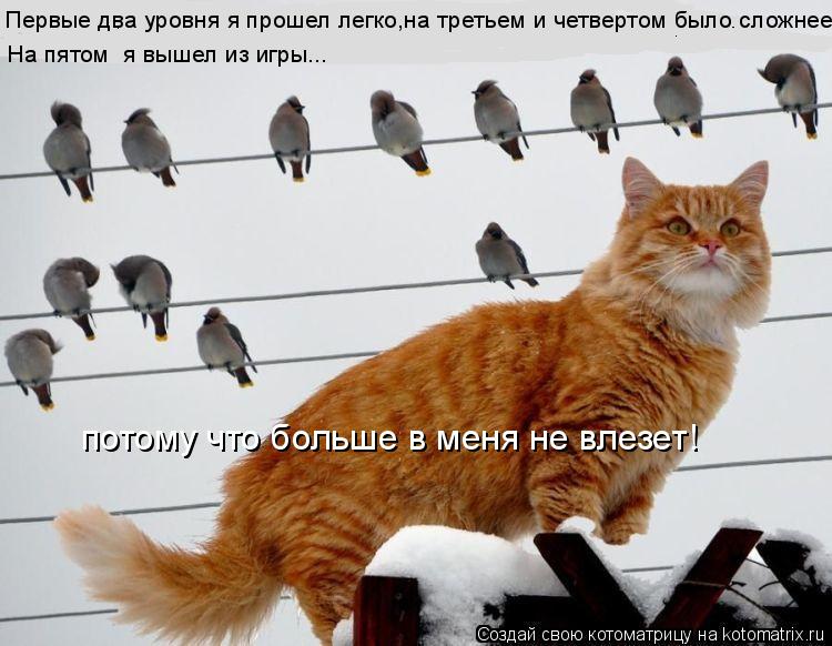 Первые два уровня я прошел легко,на третьем и четвертом было сложнее... На пятом я вышел из игры... ... Котоматрица: Первые два уровня я прошел легко,на третьем и четвертом было сложнее... На пятом я вышел из игры... потому что больше в меня не влезет!