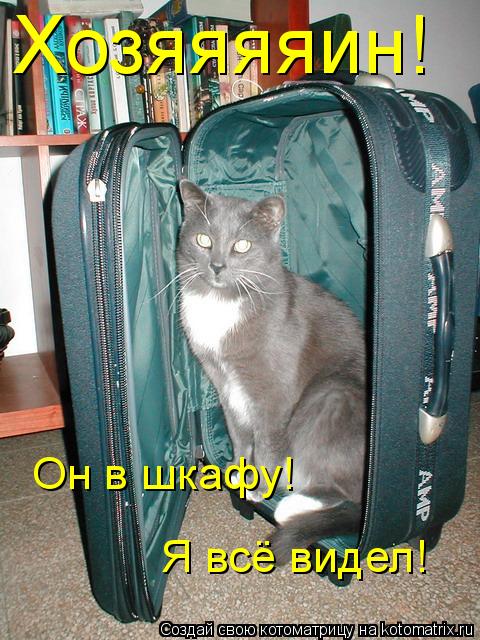 Хозяяяяин! Я всё видел! Он в шкафу!... Котоматрица: Хозяяяяин! Я всё видел! Он в шкафу!