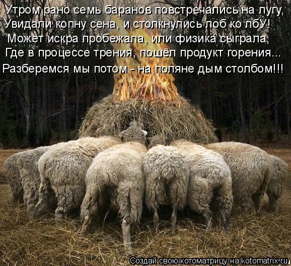 Утром рано семь баранов повстречались на лугу, Увидали копну сена, и столкнулись лоб ко лбУ! Может и... Котоматрица: Утром рано семь баранов повстречались на лугу, Увидали копну сена, и столкнулись лоб ко лбУ! Может искра пробежала, или физика сыграла, Где