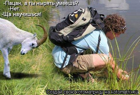 -Пацан, а ты нырять умеешь? -Нет. -Ща научишься!... Котоматрица: -Пацан, а ты нырять умеешь? -Нет. -Ща научишься!