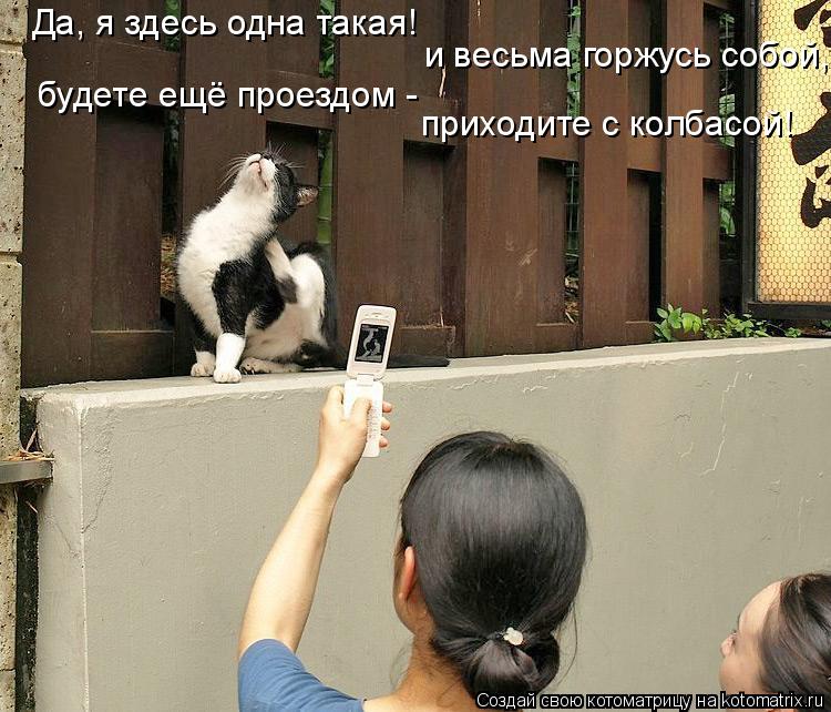 Да, я здесь одна такая! и весьма горжусь собой, будете ещё проездом - приходите с колбасой!... Котоматрица: Да, я здесь одна такая! и весьма горжусь собой, будете ещё проездом - приходите с колбасой!