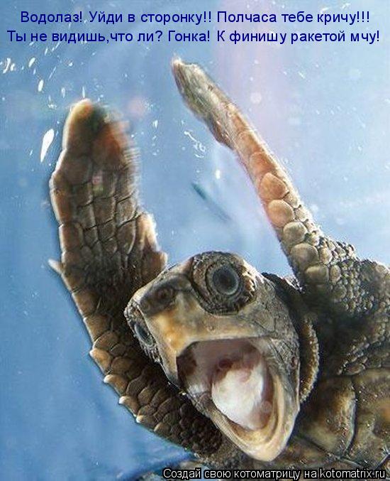 Ты не видишь,что ли? Гонка! К финишу ракетой мчу! Водолаз! Уйди в сторонку!! Полчаса тебе кричу!!!... Котоматрица: Ты не видишь,что ли? Гонка! К финишу ракетой мчу! Водолаз! Уйди в сторонку!! Полчаса тебе кричу!!!