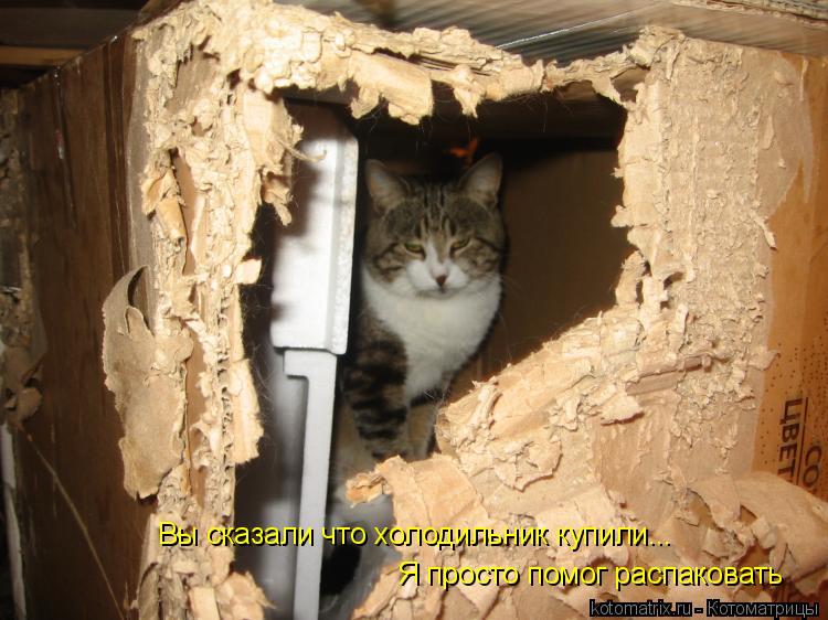 Вы сказали что холодильник купили... Я просто помог распаковать... Котоматрица: Вы сказали что холодильник купили... Я просто помог распаковать