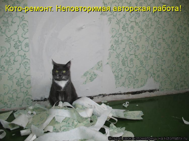 Кото-ремонт. Неповторимая авторская работа!... Котоматрица: Кото-ремонт. Неповторимая авторская работа!