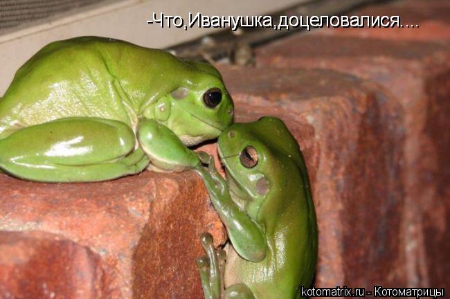 -Что,Иванушка,доцеловалися.... -Что,Иванушка,доцеловалися.... -Что,Иванушка,доцеловалися....... Котоматрица: -Что,Иванушка,доцеловалися.... -Что,Иванушка,доцеловалися.... -Что,Иванушка,доцеловалися....