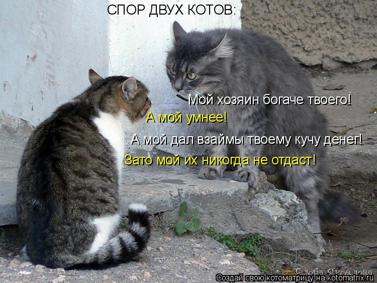 Мой хозяин богаче твоего! А мой умнее! А мой дал взаймы твоему кучу денег! Зато мой их никогда не отд... Котоматрица: Мой хозяин богаче твоего! А мой умнее! А мой дал взаймы твоему кучу денег! Зато мой их никогда не отдаст! СПОР ДВУХ КОТОВ: