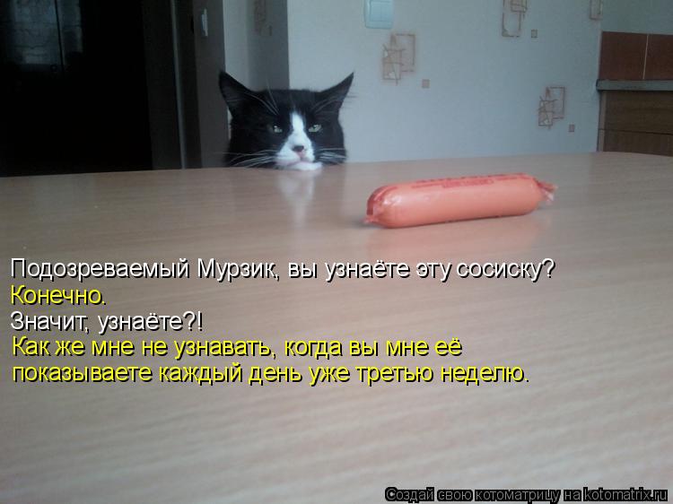 Подозреваемый Мурзик, вы узнаёте эту сосиску? Конечно. Значит, узнаёте?! Как же мне не узнавать, когд... Котоматрица: Подозреваемый Мурзик, вы узнаёте эту сосиску? Конечно. Значит, узнаёте?! Как же мне не узнавать, когда вы мне её показываете каждый день уже т