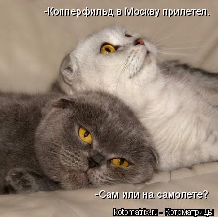 -Копперфильд в Москву прилетел. -Сам или на самолете?... Котоматрица: -Копперфильд в Москву прилетел. -Сам или на самолете?