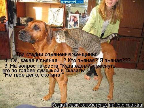 Три стадии опьянения женщины: 1. Ой, какая я пьяная... 2.Кто пьяная? Я пьяная??? 3. На вопрос таксист... Котоматрица: Три стадии опьянения женщины: 1. Ой, какая я пьяная... 2.Кто пьяная? Я пьяная??? 3. На вопрос таксиста "Куда едем?" треснуть его по голове сумочкой