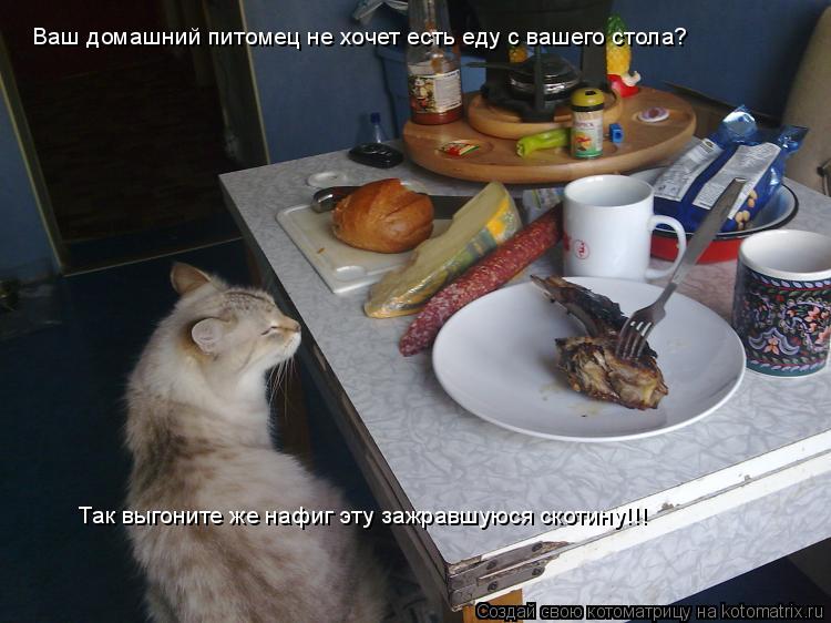 А У Вас Молоко Убежало Картинки