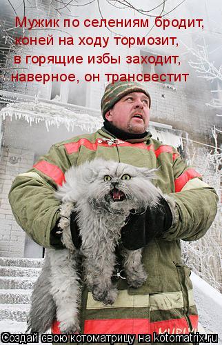 наверное, он трансвестит в горящие избы заходит, коней на ходу тормозит, Мужик по селениям броди... Котоматрица: наверное, он трансвестит в горящие избы заходит, коней на ходу тормозит, Мужик по селениям бродит,