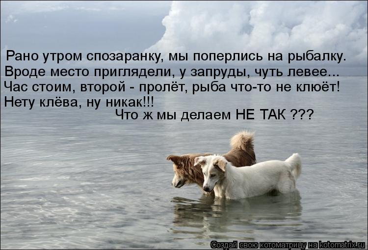 Рано утром спозаранку, мы поперлись на рыбалку. Вроде место приглядели, у запруды, чуть левее... Час ... Котоматрица: Рано утром спозаранку, мы поперлись на рыбалку. Вроде место приглядели, у запруды, чуть левее... Час стоим, второй - пролёт, рыба что-то не клюё
