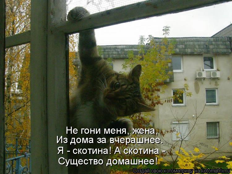 Не гони меня, жена, Из дома за вчерашнее. Я - скотина! А скотина - Существо домашнее!... Котоматрица: Не гони меня, жена, Из дома за вчерашнее. Я - скотина! А скотина - Существо домашнее!