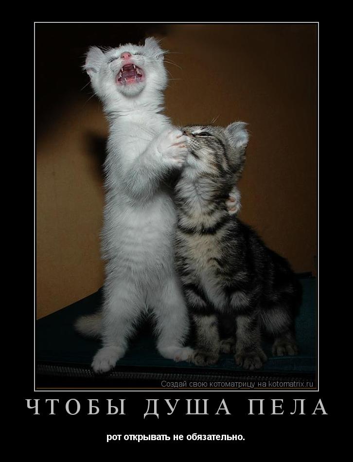 Чтобы Душа пела рот открывать не обязательно.... Котоматрица: Чтобы Душа пела рот открывать не обязательно.