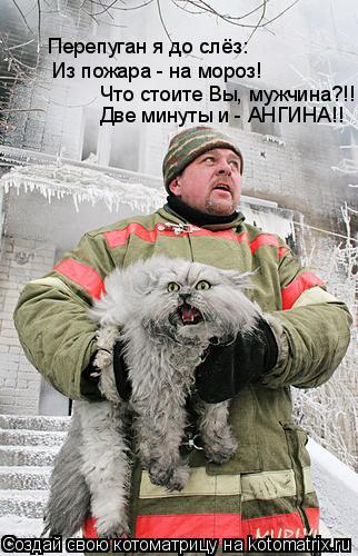 Из пожара - на мороз! Что стоите Вы, мужчина?!! Перепуган я до слёз: Две минуты и - АНГИНА!!... Котоматрица: Из пожара - на мороз! Что стоите Вы, мужчина?!! Перепуган я до слёз: Две минуты и - АНГИНА!!
