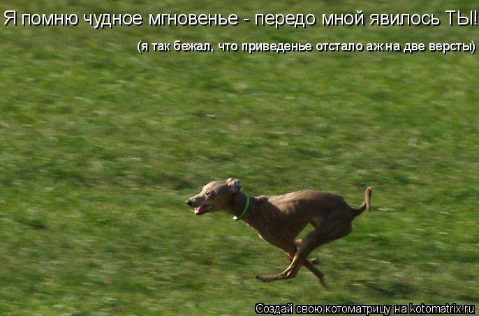 Я помню чудное мгновенье - передо мной явилось ТЫ! (я так бежал, что приведенье отстало аж на две вер... Котоматрица: Я помню чудное мгновенье - передо мной явилось ТЫ! (я так бежал, что приведенье отстало аж на две версты)