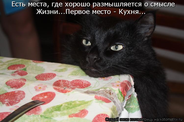 Есть места, где хорошо размышляется о смысле Жизни...Первое место - Кухня...... Котоматрица: Есть места, где хорошо размышляется о смысле Жизни...Первое место - Кухня...