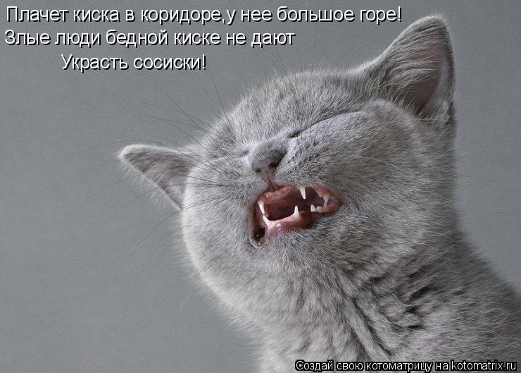 Плачет киска в коридоре,у нее большое горе! Злые люди бедной киске не дают Украсть сосиски!... Котоматрица: Плачет киска в коридоре,у нее большое горе! Злые люди бедной киске не дают Украсть сосиски!
