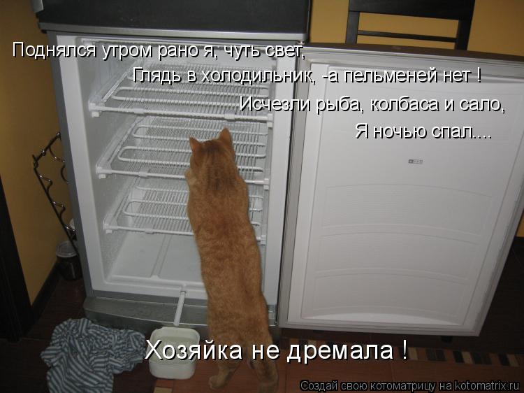 Поднялся утром рано я, чуть свет, Глядь в холодильник, -а пельменей нет ! Исчезли рыба, колбаса и са... Котоматрица: Поднялся утром рано я, чуть свет, Глядь в холодильник, -а пельменей нет ! Исчезли рыба, колбаса и сало, Я ночью спал.... Хозяйка не дремала !