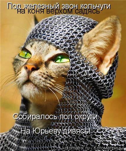 Котоматрица: Под железный звон кольчуги  на коня верхом садясь Собиралось пол округи На Юрьеву дивясь!