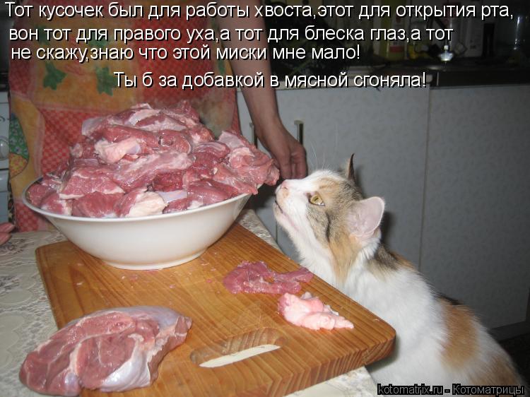 Тот кусочек был для работы хвоста,этот для открытия рта, вон тот для правого уха,а тот для блеска гла... Котоматрица: Тот кусочек был для работы хвоста,этот для открытия рта, вон тот для правого уха,а тот для блеска глаз,а тот не скажу,знаю что этой миски мне