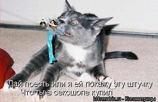 Что ты в сексшопе купил Дай поесть или я ей покажу эту штучку... Котоматрица: Что ты в сексшопе купил Дай поесть или я ей покажу эту штучку