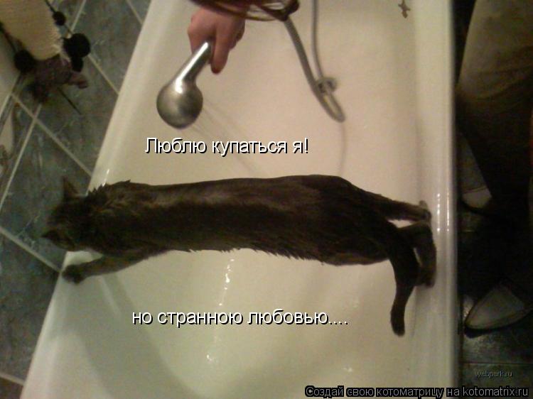Котоматрица: Люблю купаться я! но странною любовью....