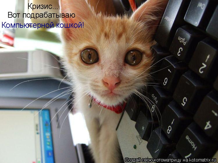 Кризис... Вот подрабатываю Компьютерной кошкой!... Котоматрица: Кризис... Вот подрабатываю Компьютерной кошкой!
