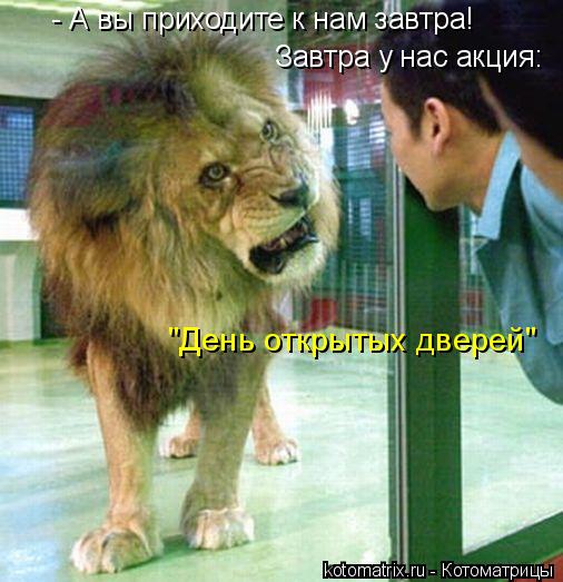 - А вы приходите к нам завтра! Завтра у нас акция: "День открытых дверей"... Котоматрица: - А вы приходите к нам завтра! Завтра у нас акция: "День открытых дверей"