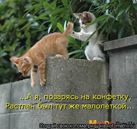 ...А я, позарясь на конфетку, Растлен был тут же малолеткой...... Котоматрица: ...А я, позарясь на конфетку, Растлен был тут же малолеткой...