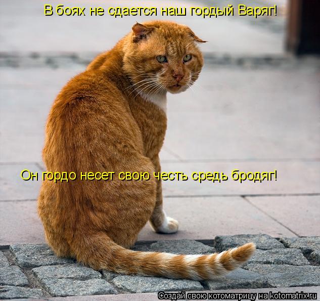 Он гордо несет свою честь средь бродяг! В боях не сдается наш гордый Варяг!... Котоматрица: Он гордо несет свою честь средь бродяг! В боях не сдается наш гордый Варяг!