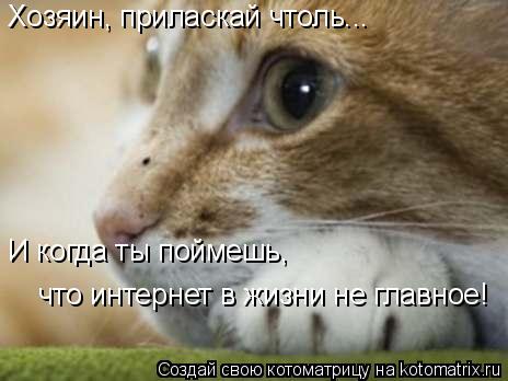 Котоматрица: Хозяин, приласкай чтоль... И когда ты поймешь,  что интернет в жизни не главное!