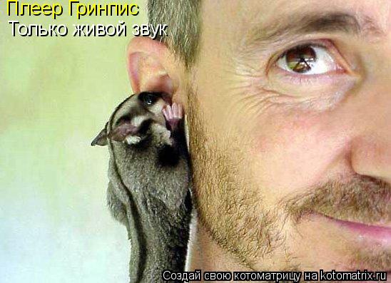 Плеер Гринпис Только живой звук... Котоматрица: Плеер Гринпис Только живой звук