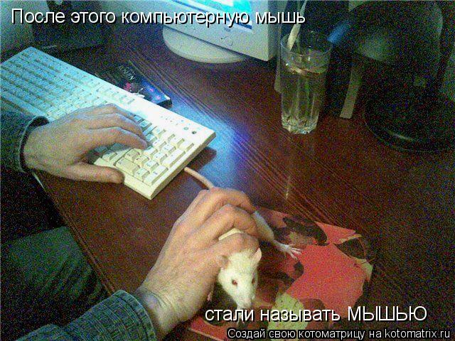 Котоматрица: После этого компьютерную мышь  стали называть МЫШЬЮ