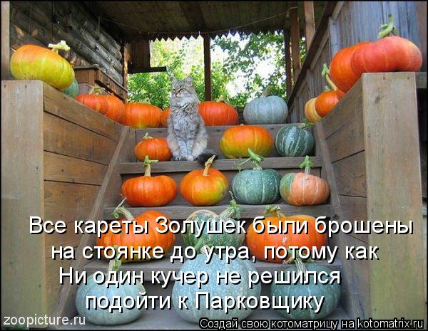 Ни один кучер не решился подойти к Парковщику Все кареты Золушек были брошены на стоянке до утра, п... Котоматрица: Ни один кучер не решился подойти к Парковщику Все кареты Золушек были брошены на стоянке до утра, потому как