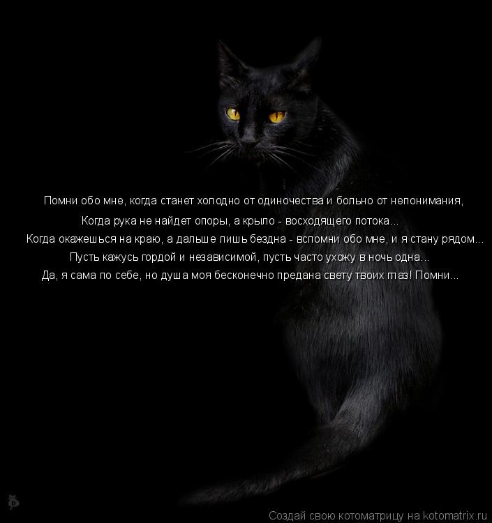 Помни обо мне, когда станет холодно от одиночества и больно от непонимания, Когда рука не найдет опор... Котоматрица: Помни обо мне, когда станет холодно от одиночества и больно от непонимания, Когда рука не найдет опоры, а крыло - восходящего потока... Когда
