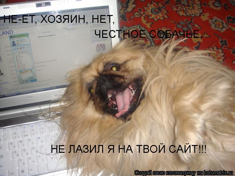 НЕ-ЕТ, ХОЗЯИН, НЕТ, ЧЕСТНОЕ СОБАЧЬЕ, НЕ ЛАЗИЛ Я НА ТВОЙ САЙТ!!!... Котоматрица: НЕ-ЕТ, ХОЗЯИН, НЕТ, ЧЕСТНОЕ СОБАЧЬЕ, НЕ ЛАЗИЛ Я НА ТВОЙ САЙТ!!!