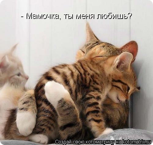 Котоматрица: - Мамочка, ты меня любишь?