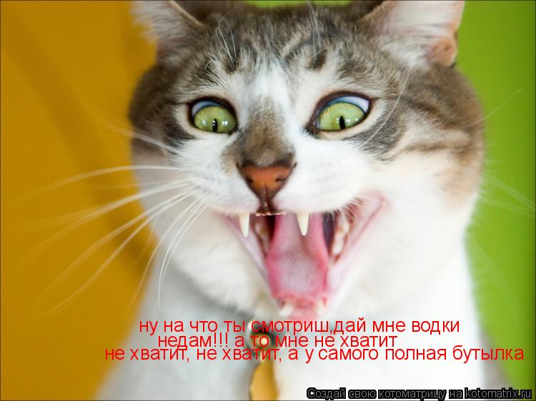 ну на что ты смотриш,дай мне водки ну на что ты смотриш,дай мне водки недам!!! а то мне не хватит нед... Котоматрица: ну на что ты смотриш,дай мне водки ну на что ты смотриш,дай мне водки недам!!! а то мне не хватит недам!!! а то мне не хватит не хватит, не хватит,