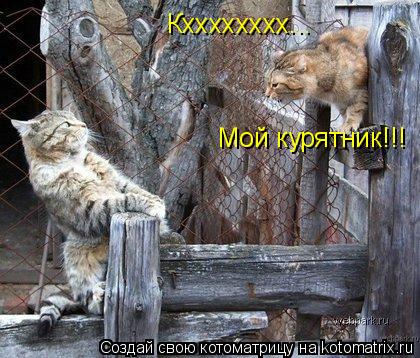 Кхххххххх... Мой курятник!!!... Котоматрица: Кхххххххх... Мой курятник!!!