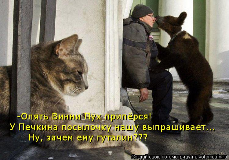 -Опять Винни Пух припёрся! У Печкина посылочку нашу выпрашивает... Ну, зачем ему гуталин???... Котоматрица: -Опять Винни Пух припёрся! У Печкина посылочку нашу выпрашивает... Ну, зачем ему гуталин???