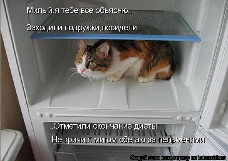 Милый.я тебе все обьясню... Заходили подружки,посидели... ..Отметили окончание диеты Не кричи,я мигом... Котоматрица: Милый.я тебе все обьясню... Заходили подружки,посидели... ..Отметили окончание диеты Не кричи,я мигом сбегаю за пельменями