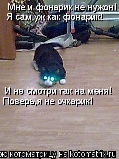 Котоматрица: Мне и фонарик не нужон! Я сам уж как фонарик! И не смотри так на меня! Поверь,я не очкарик!