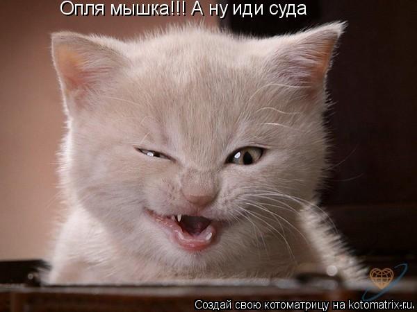 Опля мышка!!! А ну иди суда... Котоматрица: Опля мышка!!! А ну иди суда