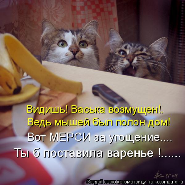 Котоматрица: Видишь! Васька возмущен!. Ведь мышей был полон дом! Вот МЕРСИ за угощение.... Ты б поставила варенье !......