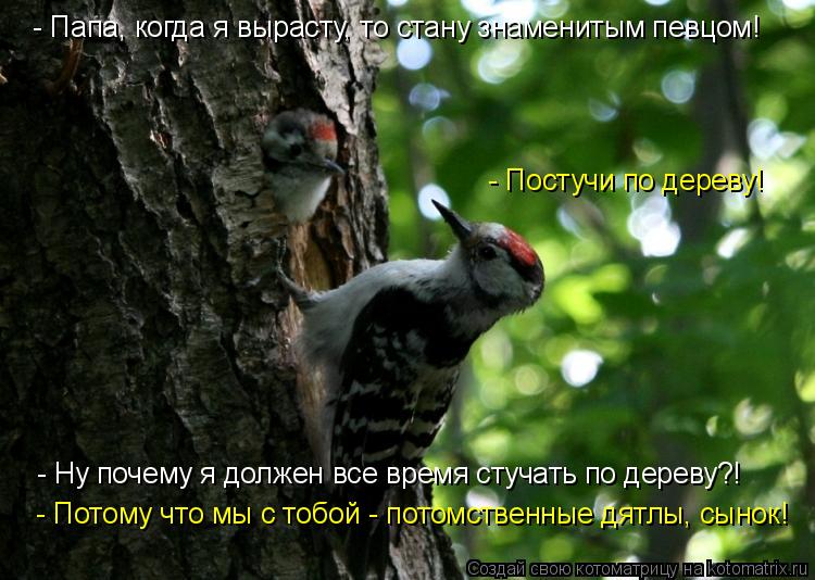 - Папа, когда я вырасту, то стану знаменитым певцом! - Постучи по дереву! - Ну почему я должен все вр... Котоматрица: - Папа, когда я вырасту, то стану знаменитым певцом! - Постучи по дереву! - Ну почему я должен все время стучать по дереву?! - Потому что мы с тоб