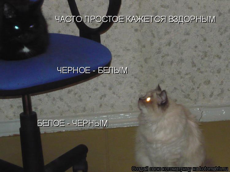 ЧЕРНОЕ - БЕЛЫМ БЕЛОЕ - ЧЕРНЫМ ЧАСТО ПРОСТОЕ КАЖЕТСЯ ВЗДОРНЫМ... Котоматрица: ЧЕРНОЕ - БЕЛЫМ БЕЛОЕ - ЧЕРНЫМ ЧАСТО ПРОСТОЕ КАЖЕТСЯ ВЗДОРНЫМ