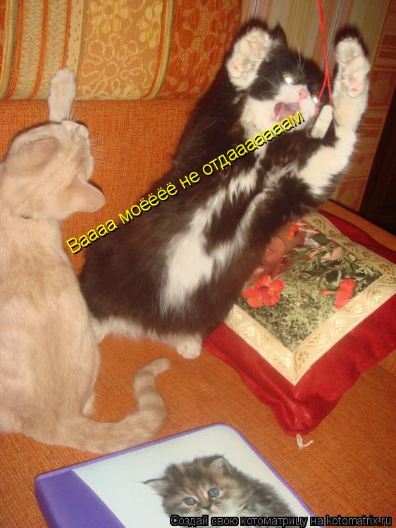 Котоматрица: Ваааа моёёёё не отдааааааам