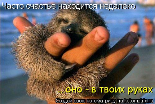 Часто счастье находится недалеко ...оно - в твоих руках... Котоматрица: Часто счастье находится недалеко ...оно - в твоих руках